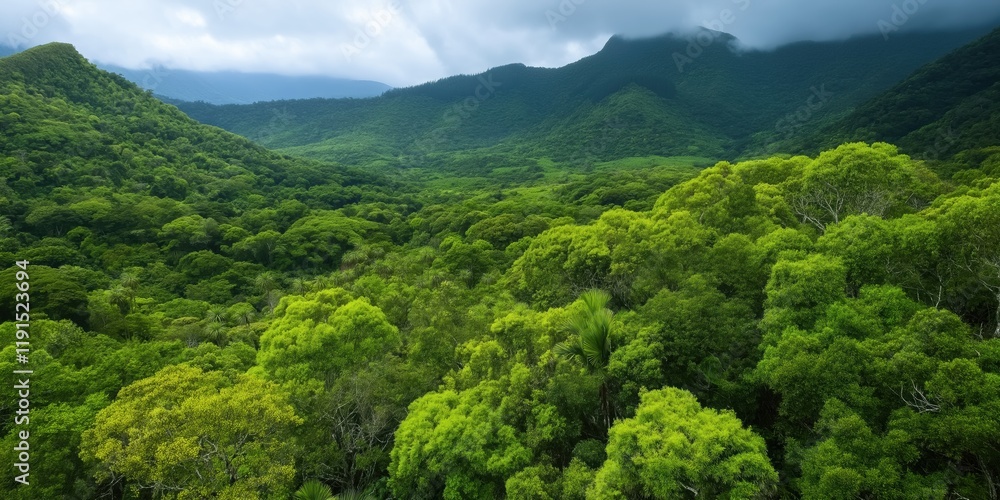 Poster a lush green forest with a cloudy sky in the background. the trees are tall and dense, creating a se