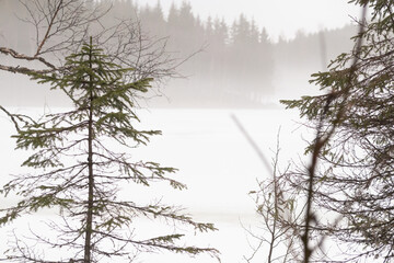 Foggy icy Lake and Forest in Early Spring, Mosåsen Hiking Area, Norway - silent Nordic Landscape Awakening from Winter