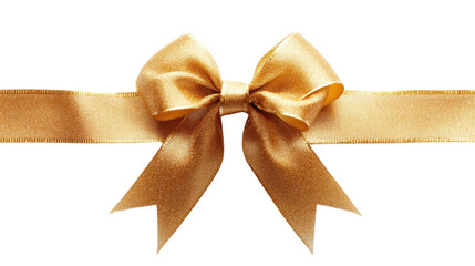 Fototapeta premium Bow transparent background