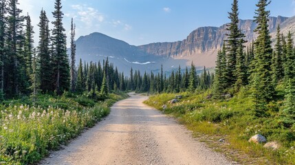 Mountain Road Winding Through a Lush Evergreen Forest