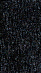 Obraz premium A close up of the bark of a tree - texture
