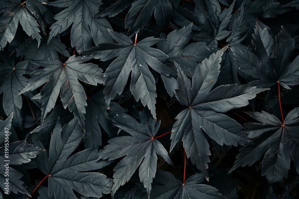 Poster deep toned maple leaves create a captivating and atmospheric backdrop, perfect for nature inspired p