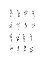 Flowers drawn by hand line, logo for design, on white background, Mocha Mousse colors - Pantone colors of 2025
