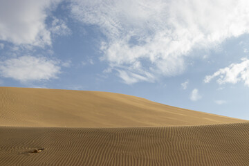 The sand dunes of Huacachina, Peru are a very popular tourist spot, where many try sandboarding or driving dune buggies.