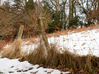 Snow-covered rural landscape with wooden fence and dry grass.