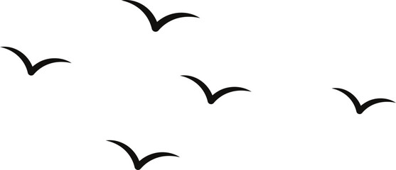 flock of birds flying in sky transparent background 
