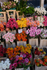 flores mercado nice frança comérico feira