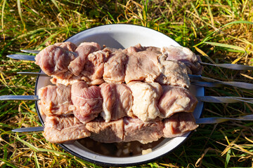 Juicy meat skewers ready for grilling outdoors in bright sunlight