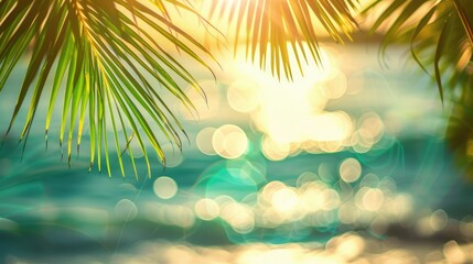 A tropical beach, a green palm leaf with sunlight and an abstract bokeh background on the seashore or ocean.