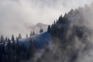 fog in the mountains, Piatra Mare Mountains, Romania 