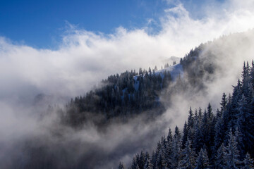 Fototapeta premium fog over the mountains, Piatra Mare Mountains, Romania 