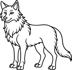 Apenninewolf  line arts with white background