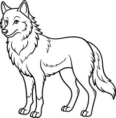 Apenninewolf  line arts with white background