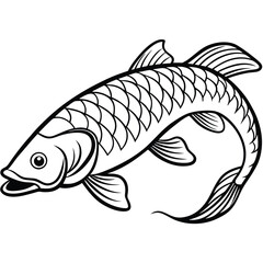 Arapaima line arts with white background 