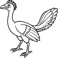 Archaeopteryx line arts with white background. Archaeopteryx Line Art, Black and White Cartoon Dinosaur Illustration