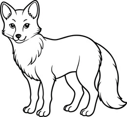 Arctic fox line arts with white background. 