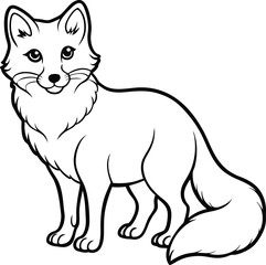 Arctic fox line arts with white background. 