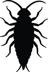 Asian cockroach line arts with white background. Cockroach silhouette, insect roach and bug species, vector. Biology or zoology and pest animal creatures, American