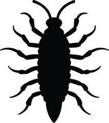 Asian cockroach line arts with white background. Cockroach silhouette, insect roach and bug species, vector. Biology or zoology and pest animal creatures, American