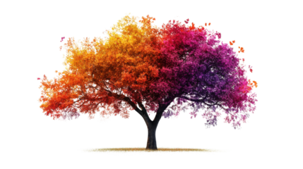 Colorful tree transparent background