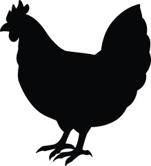 Australorp chicken line arts with white background. silhouette of a chicken on white