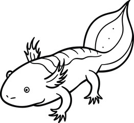 Axolotl line arts with white background . Vector antique engraving illustration of axolotl salamander isolated on white background