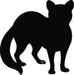 Civet line arts with white background. African Civet jumps monochrome hand drawn animal illustration, transparent background