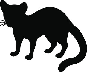 Civet line arts with white background. African Civet jumps monochrome hand drawn animal illustration, transparent background