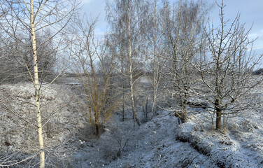 A snow-covered ravine with snow-covered trees