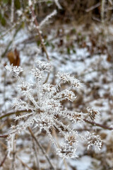 Frosty winter walk to Tomasovsky view, the rock protuberance providing wonderful views in National Park of Slovensky raj, Slovakia
