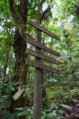 Alajuela Province, Costa Rica - November 19, 2024 - path through rainforest in the Tenorio Volcano National Park