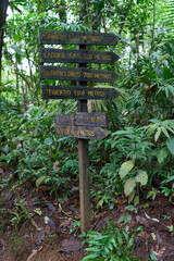 Alajuela Province, Costa Rica - November 19, 2024 - path through rainforest in the Tenorio Volcano National Park