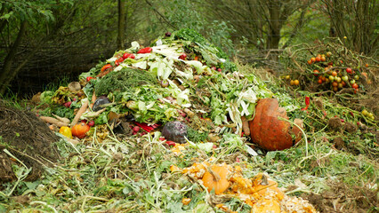 Compost vegetable bio farm autumn rotten tomato pumpkin pepper lettuce cabbage watermelon pile mold...
