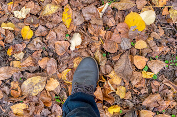 Fototapeta premium VIEW OF STANDING STEP ON DRY LEAVES IN AUTUMN