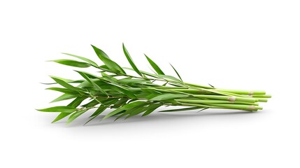 Fototapeta premium Fresh green bamboo shoots isolated on white background.