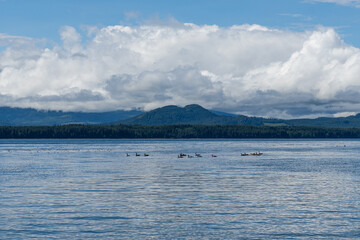 view from the shore of Malcolm Island beautiful water of the Queen Charlotte Strait with clouds on sky