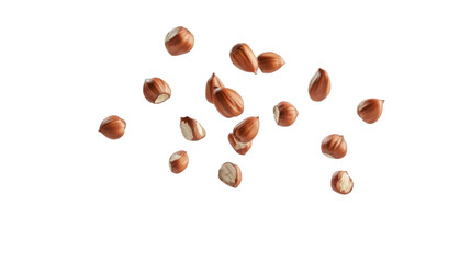 Obraz premium Hazelnuts transparent background