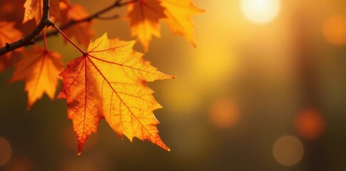 Fototapeta premium Golden autumn leaf shapes, blurred bokeh, abstract background, brown, organic