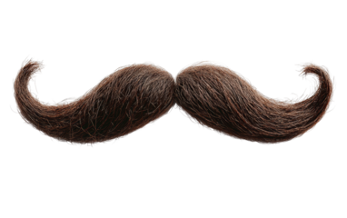 Stylish Curly Mustache on a White Background Isolated on transparent background