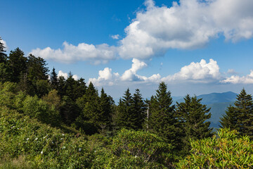 Blue Ridge Parkway Scenics