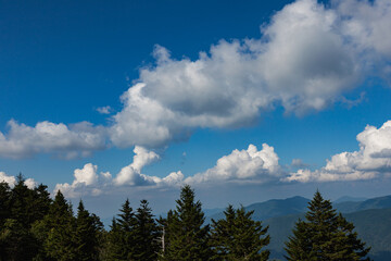 Blue Ridge Parkway Scenics
