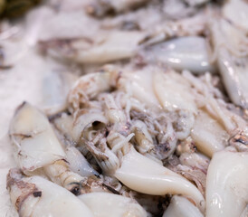 Large carcasses of squid lie in refrigerator window, next to shellfish varieties of fish. Squid are laid out in refrigerator, self-service store, fish and seafood department