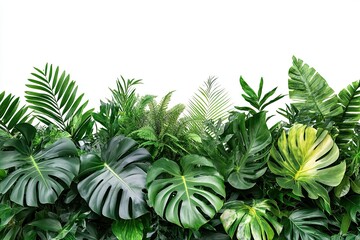 Photograph of tropical leaves and plants, a floral arrangement of nature and greenery