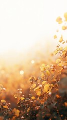 Breathtaking autumn foliage bathed in the warm golden glow of dusk sunlight creating a serene tranquil and atmospheric natural landscape