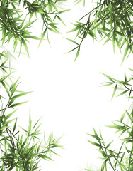 Fototapeta premium Elegant Bamboo Leaves on White Background – Minimalist Nature Design