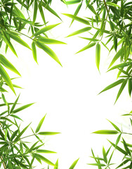 Naklejka premium Elegant Bamboo Leaves on White Background – Minimalist Nature Design