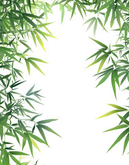 Fototapeta premium Elegant Bamboo Leaves on White Background – Minimalist Nature Design