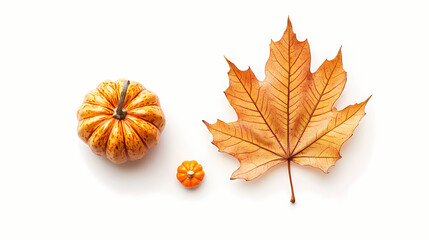 Clipart illustration of a golden maple leaf and small pumpkin on white background, perfect for adding autumn charm to your designs. Goldenleaf. Illustration