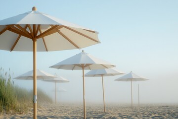 Beach umbrellas in morning mist, tranquil scene