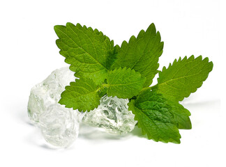 Liście mięty z kostkami lodu na białym tle © Jolaya